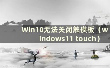 Win10无法关闭触摸板（windows11 touch）